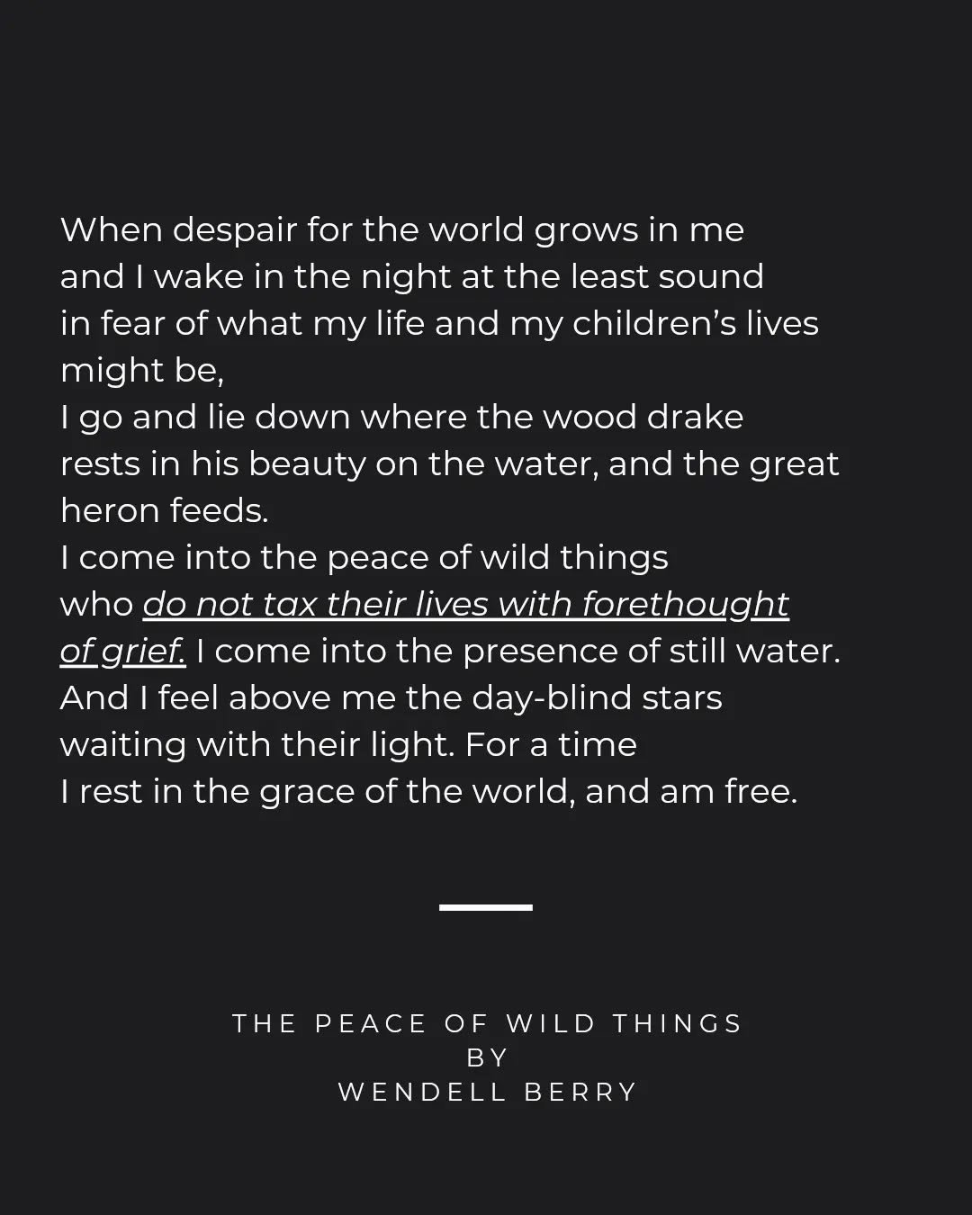 You are currently viewing //peace 🏔️