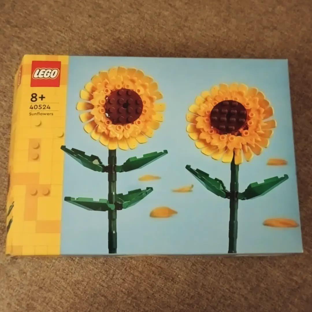 You are currently viewing //lego ❤️🌻