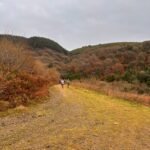 afan trails: 09 november edition