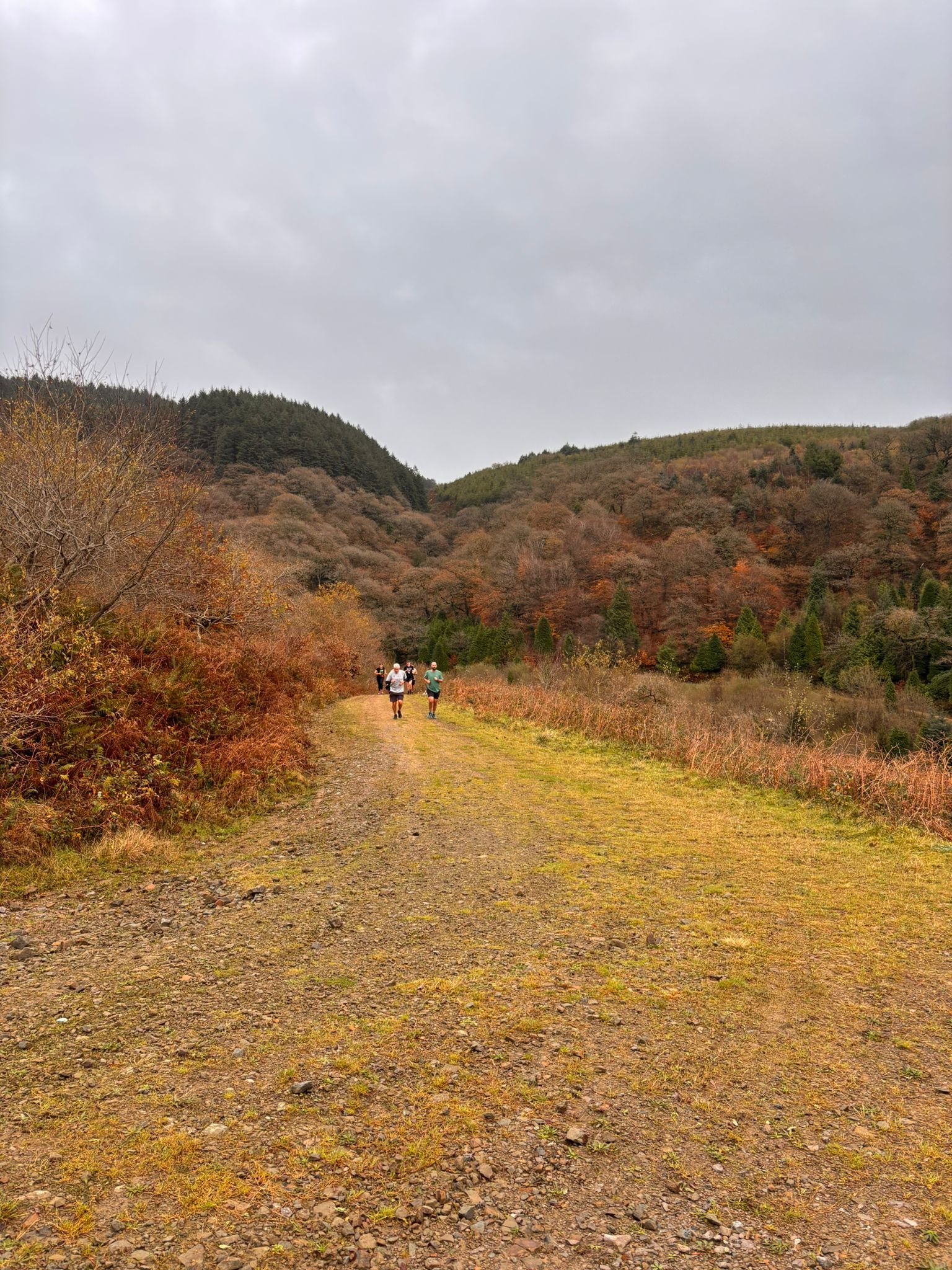 Read more about the article afan trails: 09 november edition